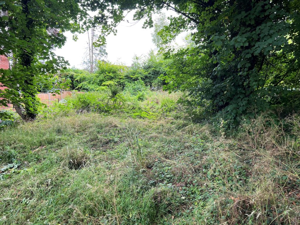 Lot: 48 - FREEHOLD PARCEL OF WOODLAND -